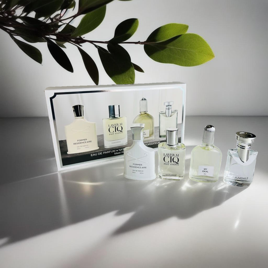 Perfume  set de 4 Piezas  Inspiracion Creed Silver Mountain+Armani Acqua+Tom Ford Grey Vetiver+Bvlgari Eau De Parfum Natural Spray Vaporisateur 25ml x 4 PCS F-199