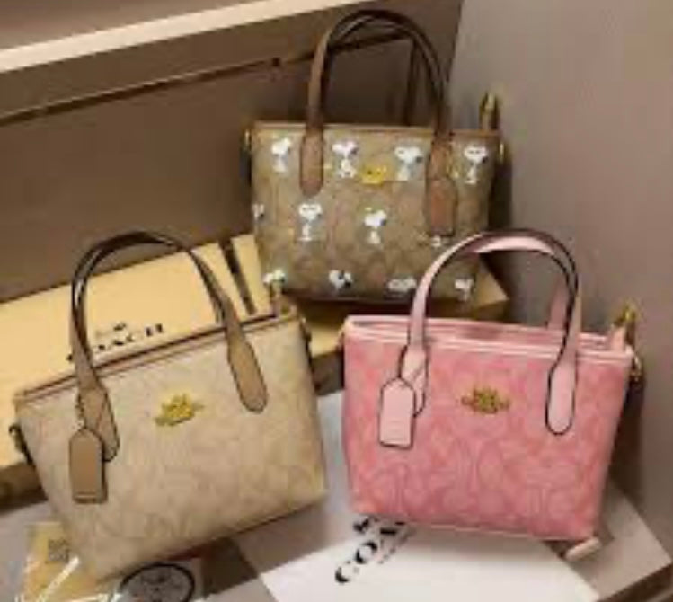 Bolsa coac/h para dama LCC-237 foto de referencia