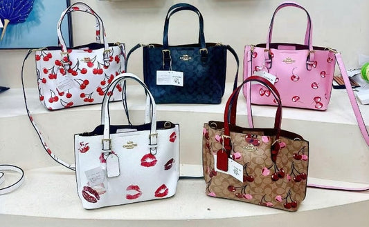 Bolsa para dama Coac-H(F5) H988